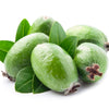 10 PINEAPPLE GUAVA Fruit Acca Guavasteen Brazilian or Fig Guava Feijoa Sellowiana Pink Red Flower Tree Shrub Seeds