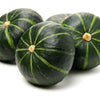 20 MINI MIX PUMPKIN Miniature Cucurbita Pepo White Green Orange Striped Vegetable Seeds