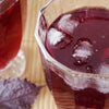 Purple Shiso