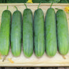 200 MARKETMORE 76 SLICING CUCUMBER Fruit Cucumis Sativus Seeds