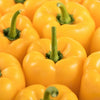 100 Golden YELLOW BELL PEPPER California Wonder Capsicum Annuum Vegetable Seeds
