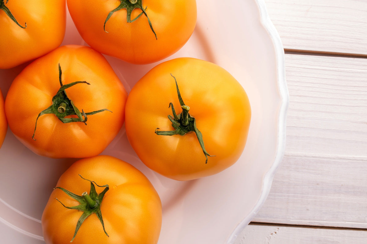 Golden Jubilee Tomato Seeds – Yellow Lycopersicon Lycopersicum Fruit Vegetable – photo 5