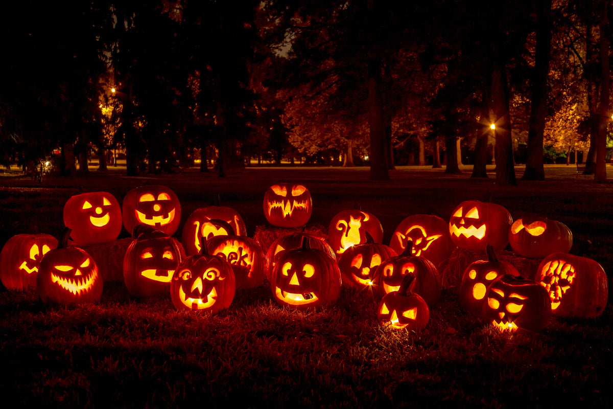 Jack O Lantern Pumpkin Cucurbita Maxima Vegetable Seeds – photo 2