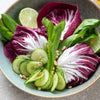 100 ROSSA Di VERONA RADICCHIO / Endive Italian Cichorium Intybus Vegetable Seeds