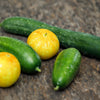 100 LEMON CUCUMBER Cucumis Sativus Fruit Vegetable Seeds
