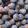 30 COMMON Edible FIG TREE Ficus Carica Purple Brown Skin Pink Flesh Fruit Seeds