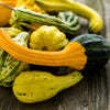 30 MIXED GOURD Lagenaria Siceraria Seeds