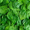 400 Monstrueux De VIROFLAY SPINACH French Spinacia Oleracea Vegetable Seeds