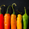 100 MIXED CAYENNE PEPPER Hot Yellow Purple Orange Red Green Capsicum Vegetable Seeds