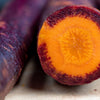 400 COSMIC PURPLE CARROT Daucus Carota Vegetable Seeds