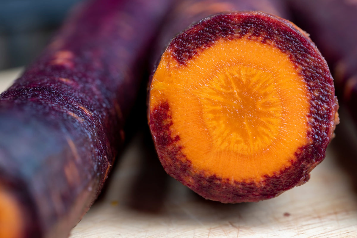 Cosmic Purple Carrot Seeds – Daucus Carota Vegetable – photo 2