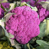 25 PURPLE CAULIFLOWER Violet Queen Brassica Oleracea Botrytis Vegetable Seeds