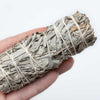 75 Sacred California WHITE SAGE Salvia Apiana Shrub Silver Folliage Native Smudge Seeds