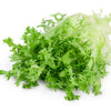 Green Curled Endive Seeds – (Salad Endive / Moss Curled Endive / Escarole) Cichorium Endivia Vegetable – photo 9