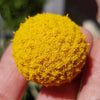 20 Yellow BILLY BUTTONS / WOLLYHEADS Craspedia Globosa Flower Seeds