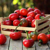100 SWEET CHERRY PEPPER Red Chili Capsicum Annuum Vegetable Seeds