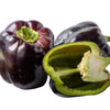Purple Beauty Pepper Seeds – ( Sweet Mild Bell ) Capsicum Annuum Vegetable – photo 6