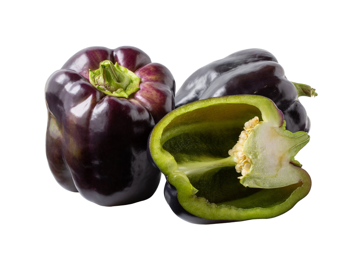 Purple Beauty Pepper Seeds – ( Sweet Mild Bell ) Capsicum Annuum Vegetable – photo 6