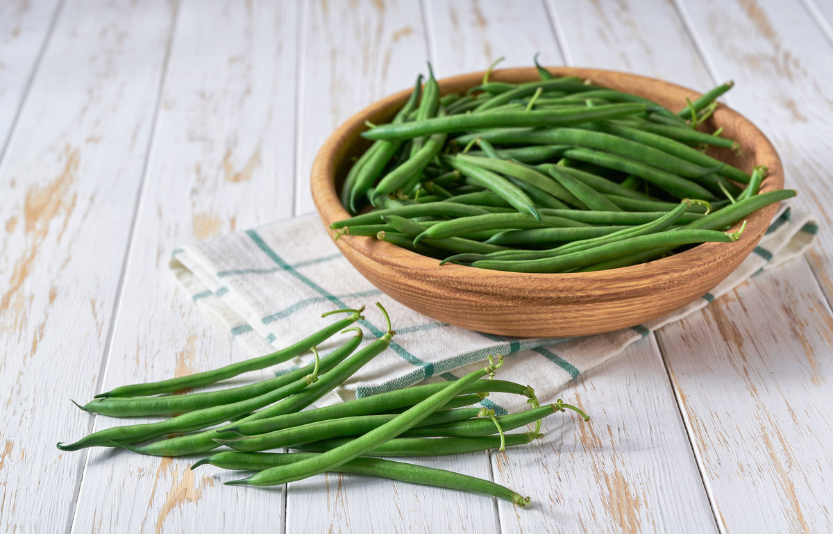 French Blue Lake Pole Bean Phaseolus Vulgaris Vegetable Seeds – photo 7