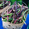 50 PURPLE PINKEYE COWPEA Southern Cow Pea Crowder Vigna Unguiculata Vegetable Legume Seeds