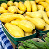 50 YELLOW CROOKNECK SQUASH Summer Cucurbita Pepo Crooked Neck Vegetable Seeds