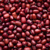 50 ADZUKI BEAN Aduki Red Bean Maroon Phaseolus Angularis Legume Vegetable Seeds