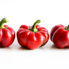 100 PIMENTO PEPPER (Red Sweet Pimientio / Italianelle / Cheese, Roasting, Frying Pepper) Capsicum Annuum Seeds