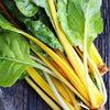 40 YELLOW CANARY SWISS CHARD Beta Vulgaris Perpetual Spinach Vegetable Seeds