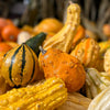30 MIXED GOURD Lagenaria Siceraria Seeds
