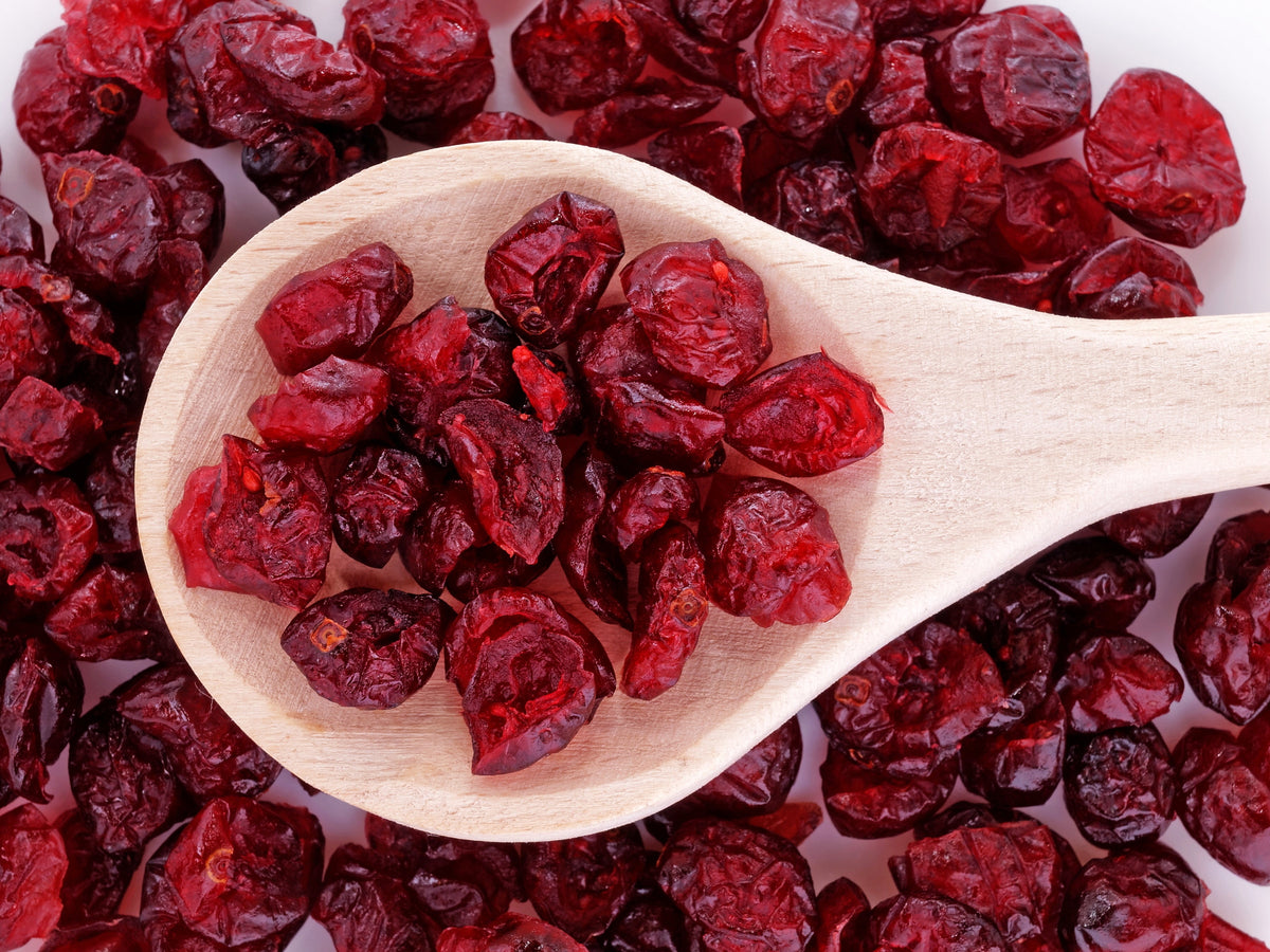 Perennial Cranberry Seeds – American Vaccinium Macrocarpon Red Fruit Bush – photo 11