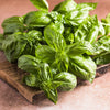 1500 SWEET BASIL Ocimum Basilicum Herb White Flower Seeds