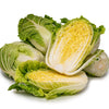 500 MICHIHILI CABBAGE (Chinese Cabbage / Bok Choy / Pak Choi / Celery Mustard / Chinese Chard) Brassica Rapa Chinensis Vegetable Seeds
