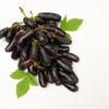 5 BLACK FINGER GRAPE Vitis Viniferia Fruit Vine Seeds