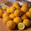 5 HARDY ORANGE TREE Trifoliate Citrus Trifoliata Poncirus Fruit White Flower Seeds