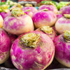 3000 PURPLE Top WHITE Globe TURNIP Brassica Rapa Vegetable Seeds