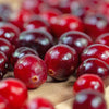 Perennial Cranberry Seeds – American Vaccinium Macrocarpon Red Fruit Bush – photo 2