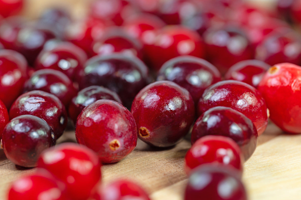Perennial Cranberry Seeds – American Vaccinium Macrocarpon Red Fruit Bush – photo 2