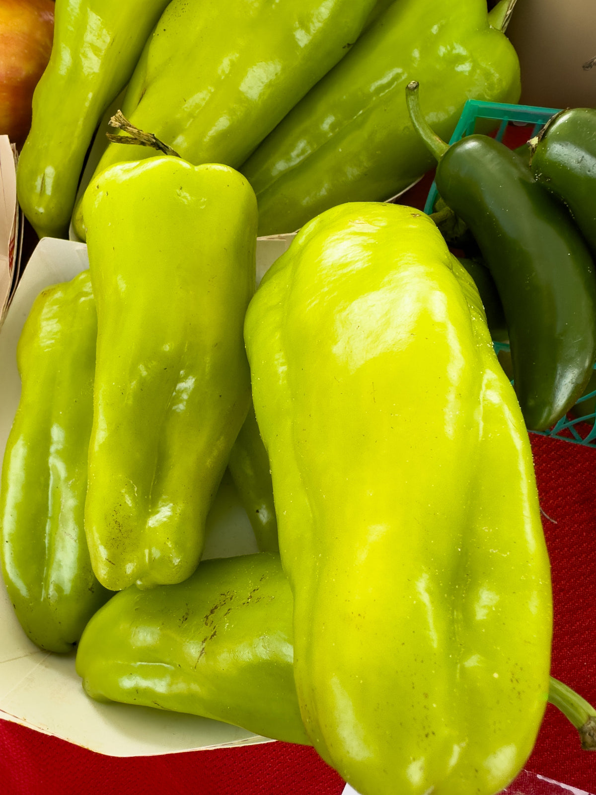 Greek Golden Pepper Seeds – Pepperoncini Gold Yellow Capsicum Annuum Vegetable – photo 2