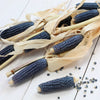 50 BLUE POPCORN Blue Kernels Pop White Corn Zea Mays Vegetable Seeds