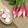 750 FRENCH BREAKFAST RADISH Raphanus Sativus Vegetable Seeds
