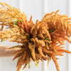 100 Organic HOT BISCUITS AMARANTHUS Cruentus Coppery Bronze Plumes Flower Seeds