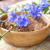 1000 CHICORY (Blue Daisy / Blue Sailors / Coffeeweed / Succory) Chicorium Cicorium Intybus Flower Herb Seeds