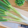 Evergreen Nebuka Bunching Onion Seeds – Japanese Allium Fistulosum Vegetable – photo 8