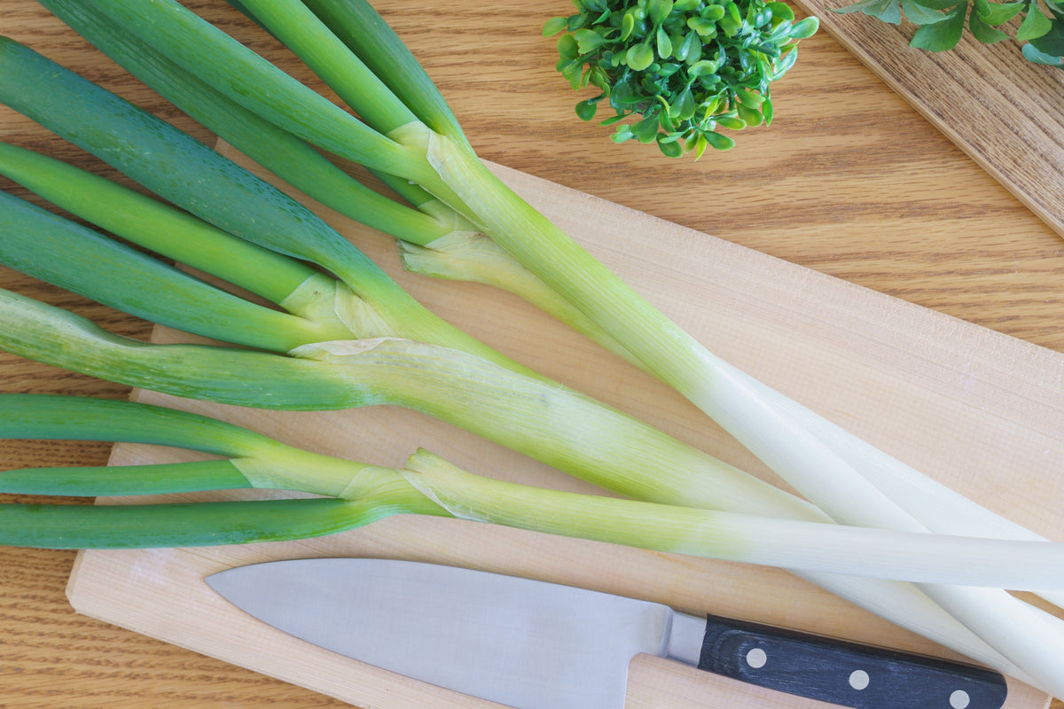 Evergreen Nebuka Bunching Onion Seeds – Japanese Allium Fistulosum Vegetable – photo 8
