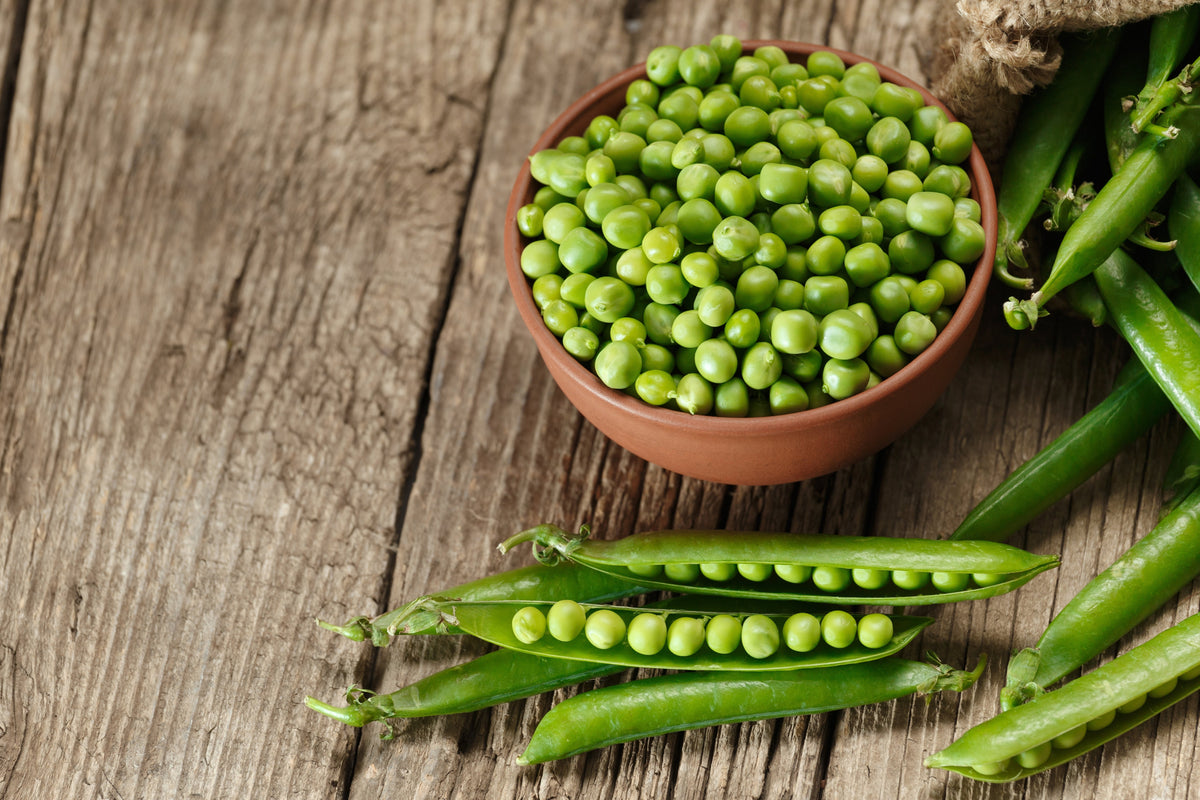 Early Frosty Garden Pea Seeds – English Shelling Pisum Sativum Vegetable – photo 8