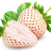 100 WHITE SOUL STRAWBERRY Fragaria Vesca Fruit Flower Berry Seeds