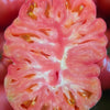 50 Giant BELGIAN PINK TOMATO Huge Pink Skin Lycopersicon Fruit Vegetable Seeds