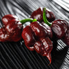 10 Chocolate CAROLINA REAPER PEPPER World's Hottest Capsicum Chinense Hot Brown Chili Vegetable Seeds