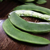 Fordhook Lima Bean Seeds – Phaseolus Lunatus Bush Bean Vegetable – photo 5