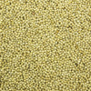 200 PROSO MILLET White Common Panicum Miliaceum Ornamental Grass Vegetable Seeds